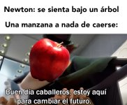 XD v Newton.jpg