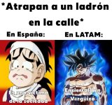 atrapan a un ladron en la calle.jpg