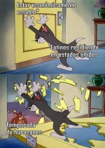 latinos residiendo en los estados juntados v1.jpeg