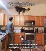 meme de notas v1.jpg