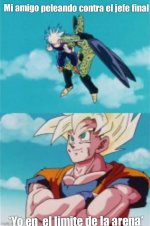 mi amigo peleando contra el jefe final y yo en el limite de la arena.jpg