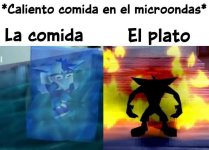 la comida y el plato.jpeg