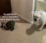 rusos meme v1.jpg
