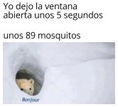 dejando la ventana abierta y los mosquitos.jpeg