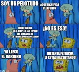 pelotudo meme v2.jpeg