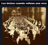 los bichos cuando volteas una roca.jpg