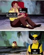 se calienta todo menos la comida xdxd.jpg