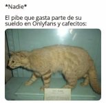 Meme gatos v18.jpg