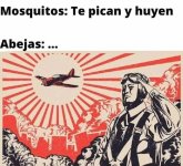 Mosquitos vs Abejas v2.jpg
