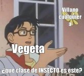 que clase de insecto es este.jpg