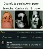 t persigue un perro en moto xdxd.jpg
