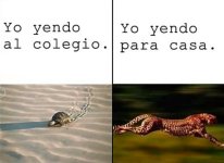 al colegio y a la casa.jpeg