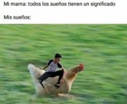 Mi mamá y mis sueños.jpg