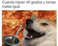 Tomas mate igual con 40 grados.jpg