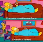 es miercolees ,prros.jpg