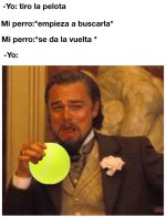 yo tiro la pelota y mi pero.jpeg