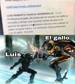 LUIS Y EL GALLO v2.jpg