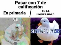 pasar con 7.jpg