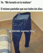 A donde vamos hoy ,prros v3.jpg