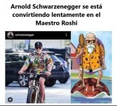Arnold-Schwarzenegger se convierte lentamente en v2.jpg