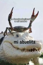 Gracias Abuelita.jpg