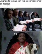 Con firulais a la juntada ,prros.jpg