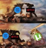 Steam verde ,wins prros.jpg