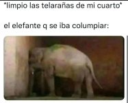 El elefante que se iba a columpiar.jpg
