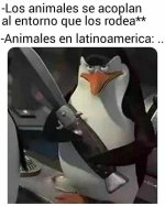 Los animales se adaptan v3.jpg