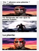planta meme v3.jpg