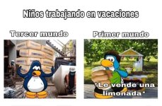 kids trabajando v55 ,prros.jpg