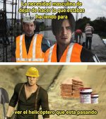 Asi es ,prros.jpg