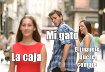Gato meme v28.jpg