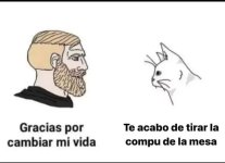 gato meme v63.jpg