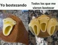 bostezo meme v2.jpg
