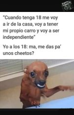 Cheetos v4.jpeg