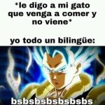 bsbsbsbsbsbsbs.jpeg