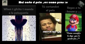 Mal corte d pelo.Jpg completo original mob con marca ,prros v1.jpg
