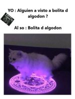 Bolita d Algodon ,ser como prros .jpg