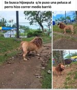 Leon meme v2.jpg