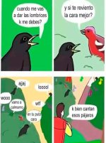 pajaros meme v4.jpg