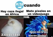 PETA cuando.jpg