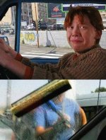 Si pasa ,prros v limpia vidrios.jpg