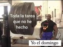 Toda la tarea que no he hecho y yo el domingo v2.jpg