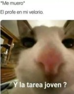 Y la tarea joven.jpg