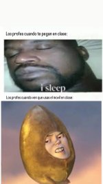 Suele pasar v profesores ,prros.jpg
