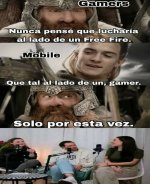 gamamos ,prros.jpg