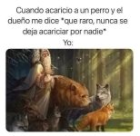 perros.jpg
