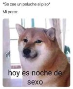 Hoy es noche d sepso xdxd.jpg