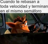 suele pasar ,prros v semaforo.jpg